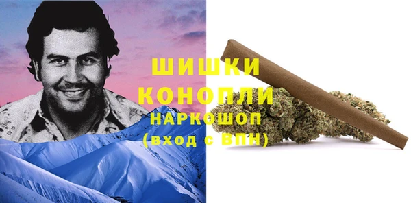 прущие грибы Дмитровск