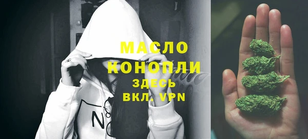 прущие грибы Дмитровск