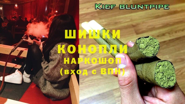 прущие грибы Дмитровск