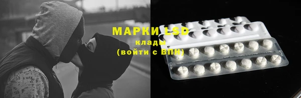 прущие грибы Дмитровск