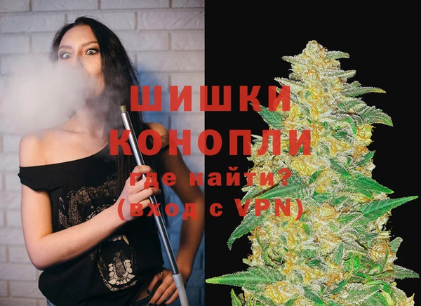 прущие грибы Дмитровск