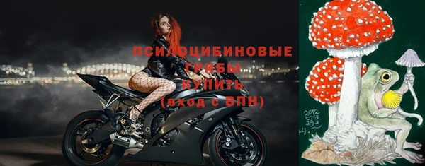 спиды Дмитров