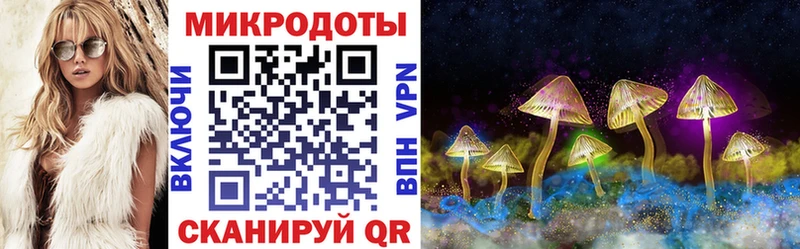 Псилоцибиновые грибы Cubensis  МЕГА маркетплейс  Новошахтинск  что такое  